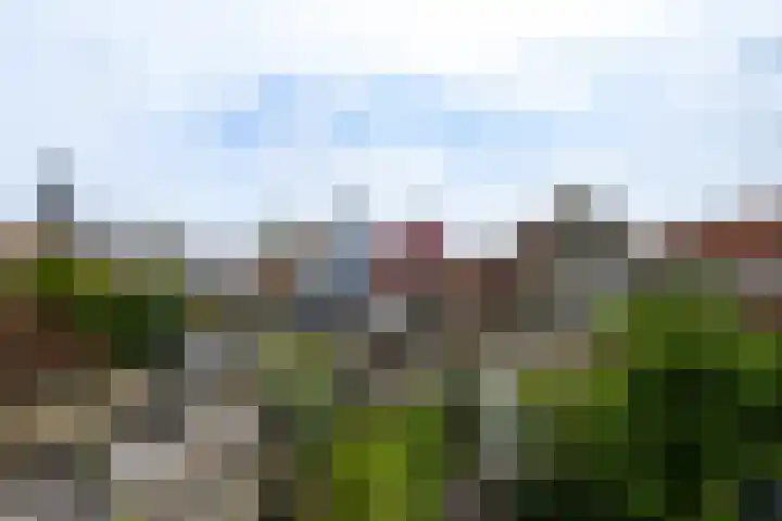 Noord 32 Franeker thumbnail 40