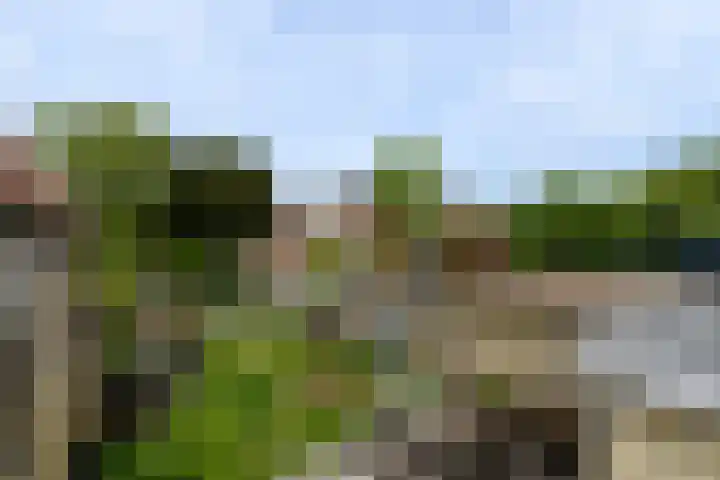 Noord 32 Franeker thumbnail 41