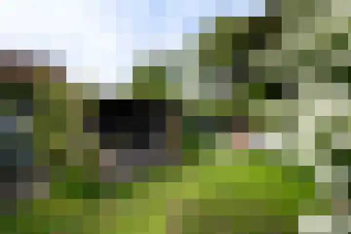Noord 32 Franeker thumbnail 44