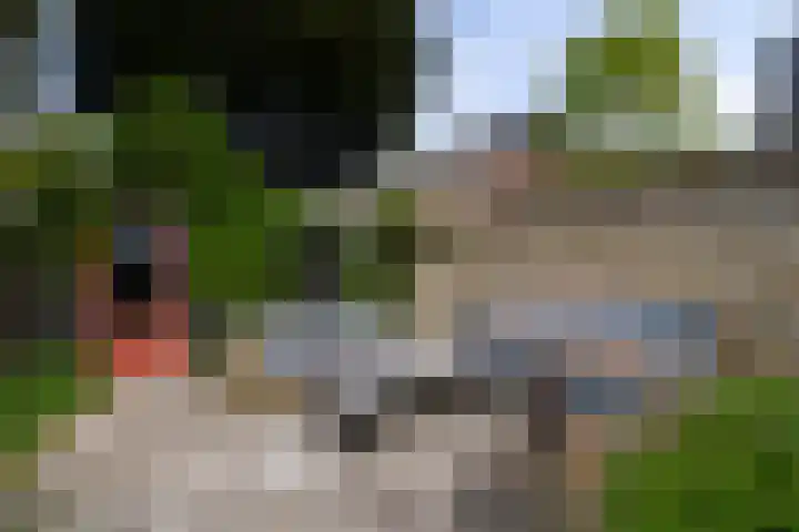 Noord 32 Franeker thumbnail 45