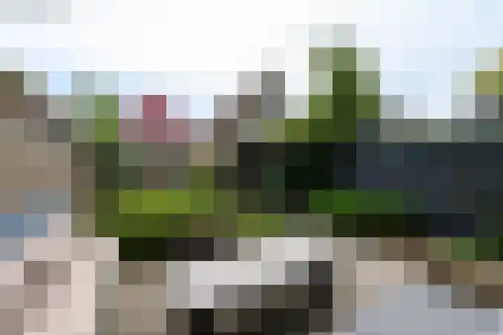 Noord 32 Franeker thumbnail 46