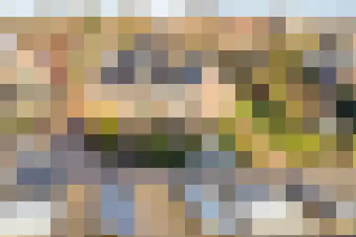 Noord 39 Schagen thumbnail 12