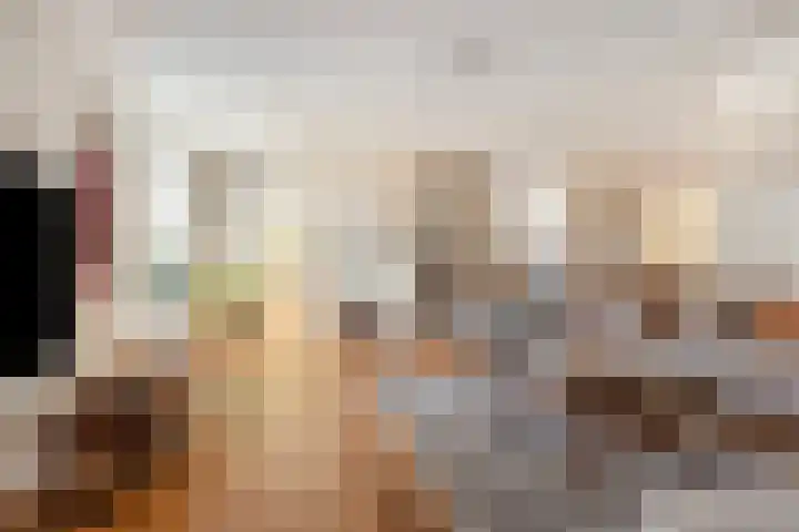 Noord 39 Schagen thumbnail 24