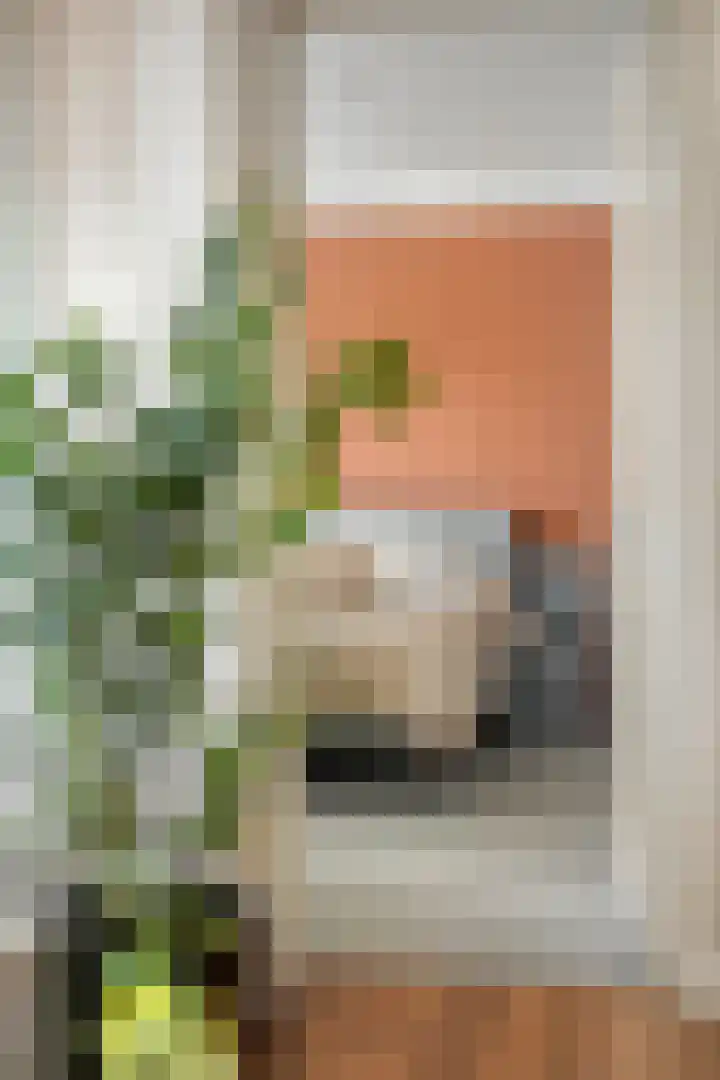 Noord 39 Schagen thumbnail 38