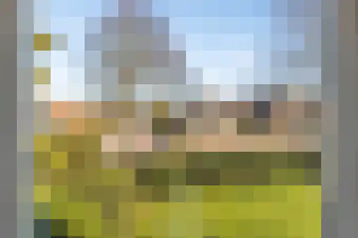 Noord 39 Schagen thumbnail 56