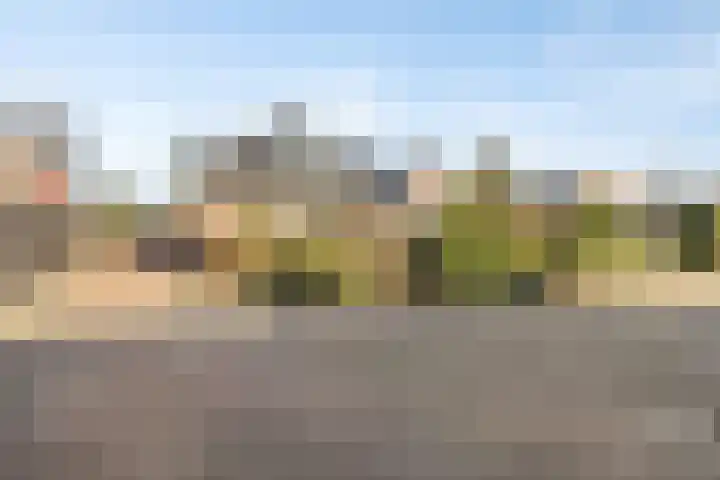 Noord 39 Schagen thumbnail 64
