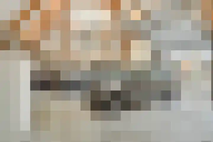 Noord 39 Schagen thumbnail 71