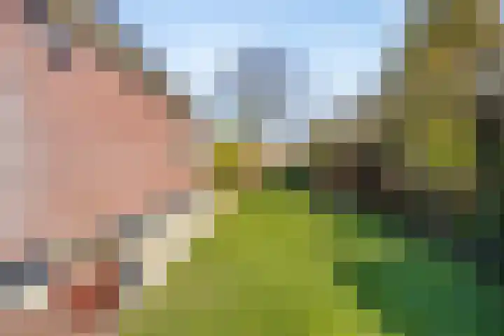 Noord 39 Schagen thumbnail 86