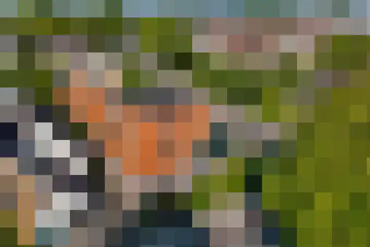 Noord 76 Schagen foto 3