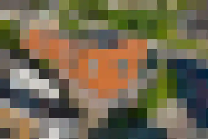 Noord 76 Schagen thumbnail 77