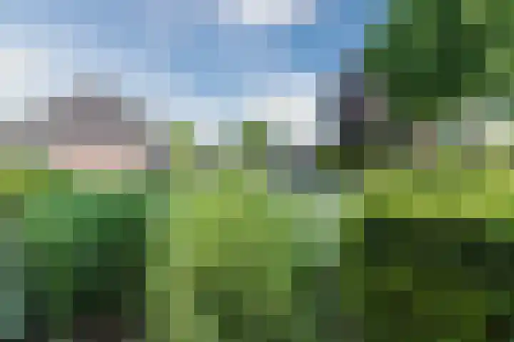 Noord 76 Schagen thumbnail 78