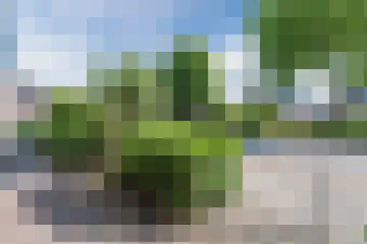 Noord 76 Schagen thumbnail 8