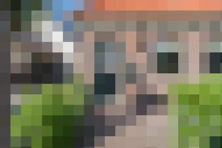 Noord 76 Schagen thumbnail 9