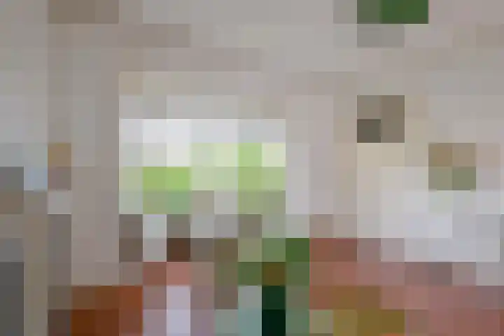 Noord 77 Schagen thumbnail 23
