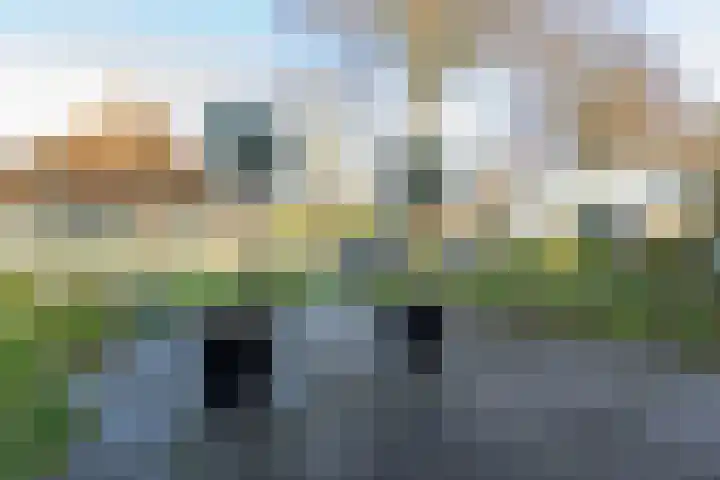 Noord 77 Schagen thumbnail 34