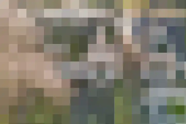 Noord 77 Schagen thumbnail 4
