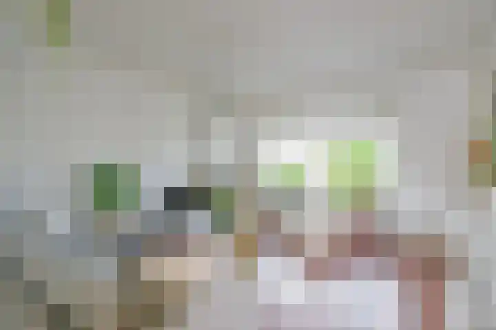 Noord 77 Schagen thumbnail 7
