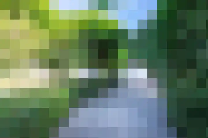 Noord Parallelweg 24 Helmond thumbnail 6