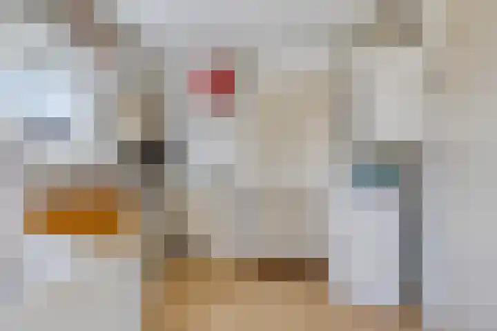 Noorddijk 27 Bruinisse thumbnail 14