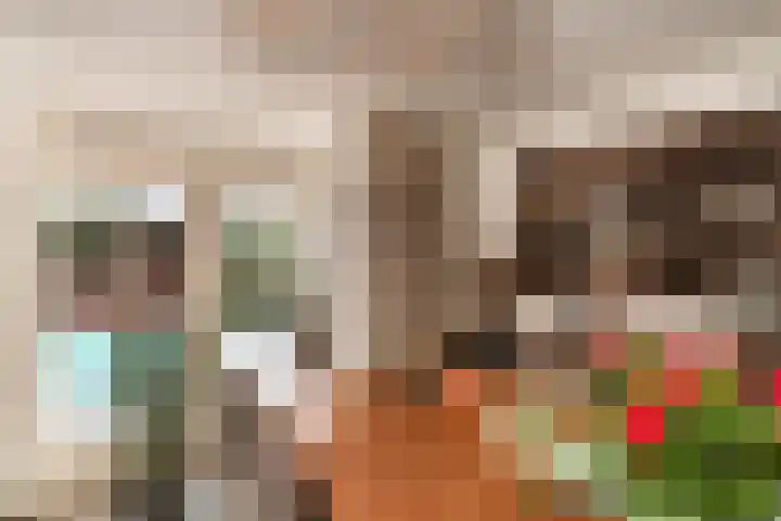 Noorddonk 152 Steenbergen thumbnail 10