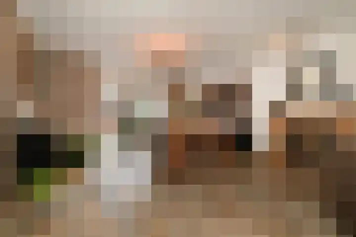 Noorddonk 152 Steenbergen thumbnail 11