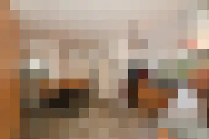 Noorddonk 152 Steenbergen thumbnail 12