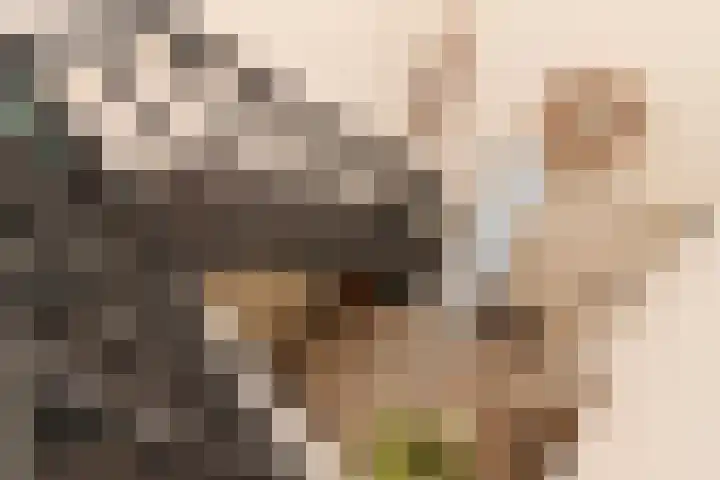 Noorddonk 152 Steenbergen thumbnail 16