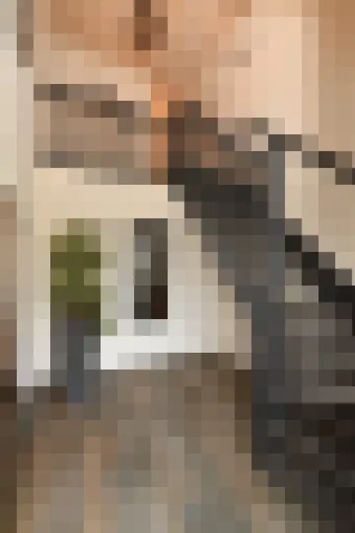 Noorddonk 152 Steenbergen thumbnail 17