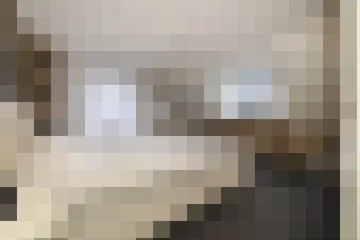 Noorddonk 152 Steenbergen thumbnail 18