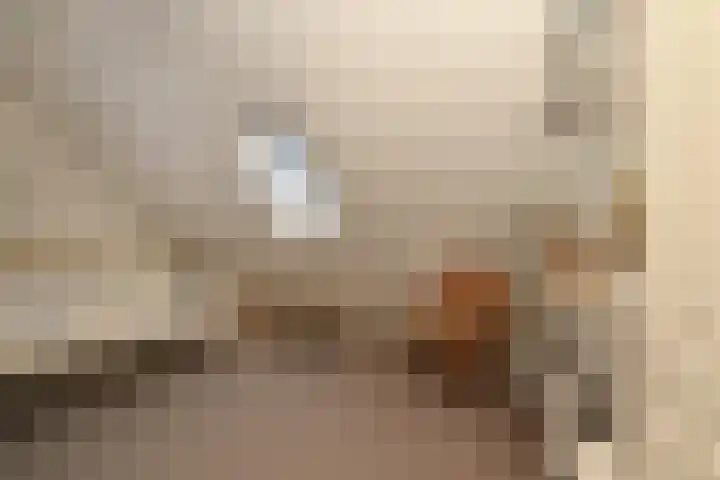 Noorddonk 152 Steenbergen thumbnail 21