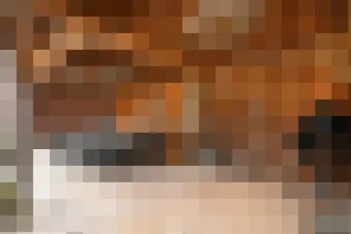 Noorddonk 152 Steenbergen thumbnail 27