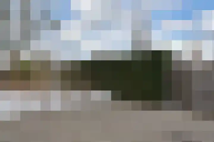 Noorddonk 152 Steenbergen thumbnail 31