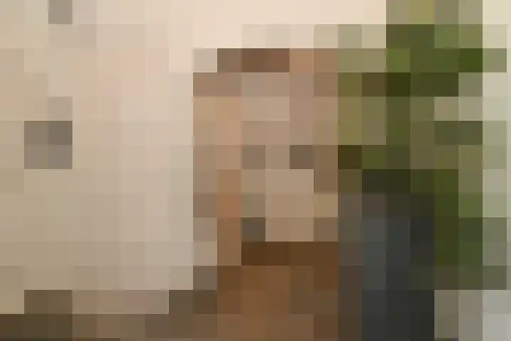 Noorddonk 152 Steenbergen thumbnail 4