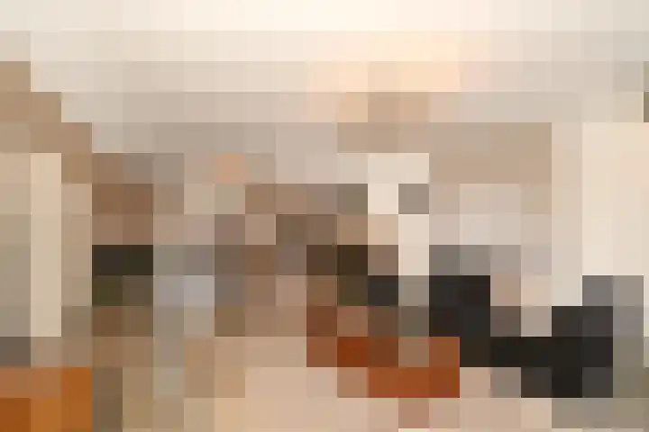 Noorddonk 152 Steenbergen thumbnail 8