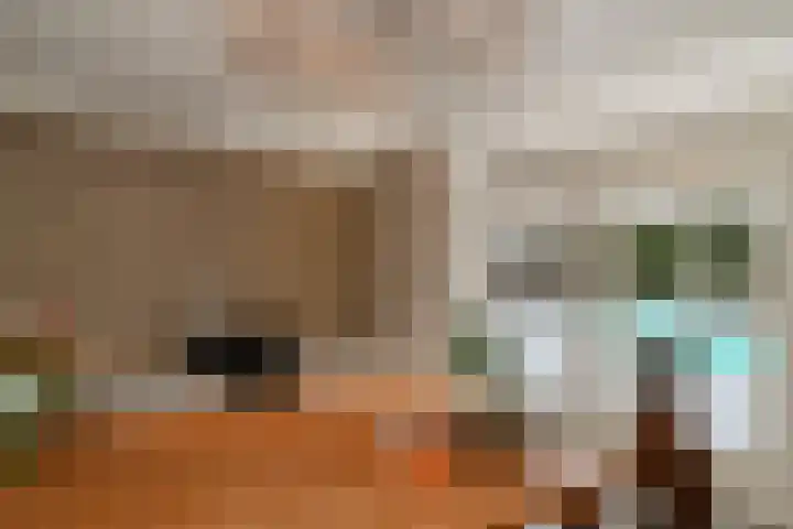 Noorddonk 152 Steenbergen thumbnail 9