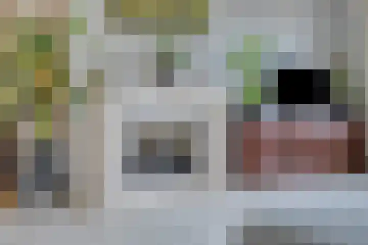 Noorddonk 162 Steenbergen thumbnail 11