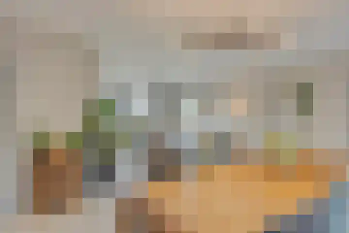 Noorddonk 162 Steenbergen thumbnail 13