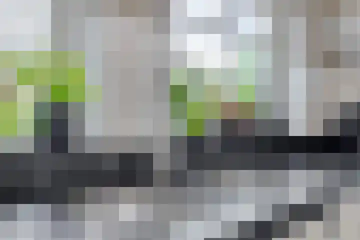 Noorddonk 162 Steenbergen thumbnail 16