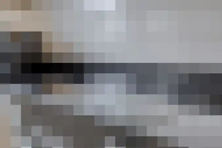 Noorddonk 162 Steenbergen thumbnail 17