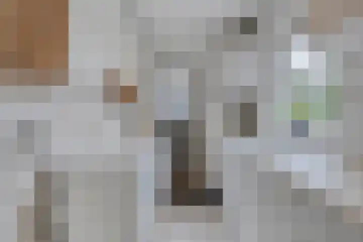 Noorddonk 162 Steenbergen thumbnail 19