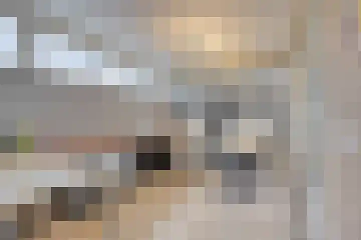 Noorddonk 162 Steenbergen thumbnail 23