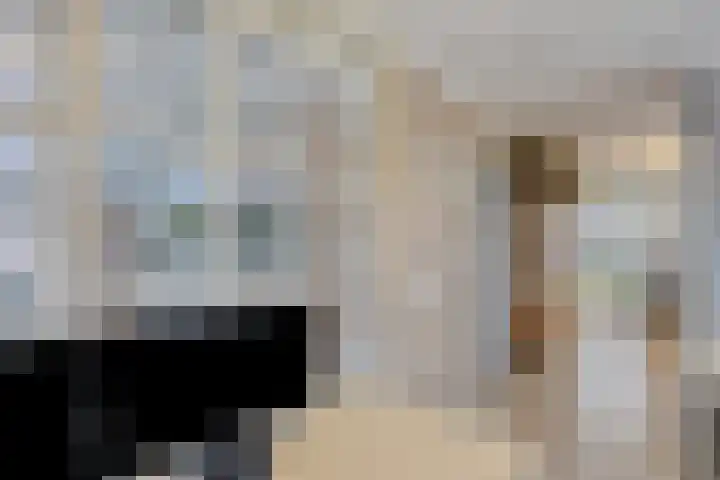 Noorddonk 162 Steenbergen thumbnail 24