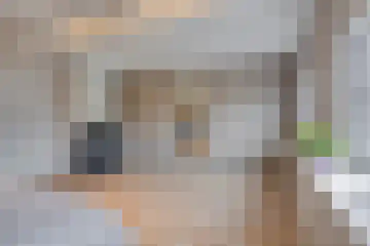 Noorddonk 162 Steenbergen thumbnail 29
