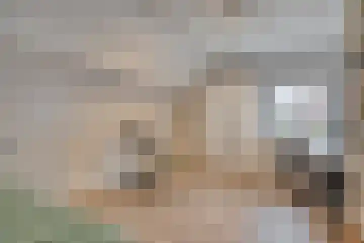 Noorddonk 162 Steenbergen thumbnail 33