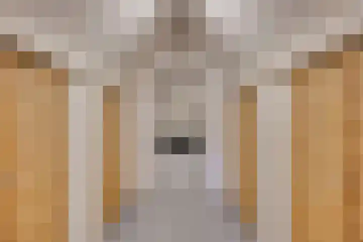 Noorddonk 162 Steenbergen thumbnail 38