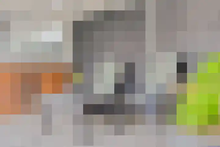 Noorddonk 162 Steenbergen thumbnail 44
