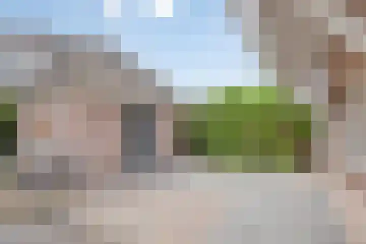 Noorddonk 162 Steenbergen thumbnail 46