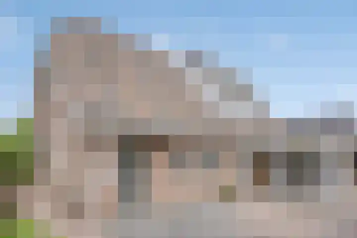 Noorddonk 162 Steenbergen thumbnail 47