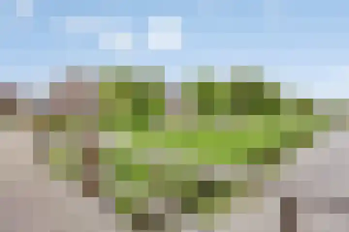 Noorddonk 162 Steenbergen thumbnail 52