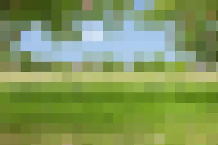 Noorddonk 162 Steenbergen thumbnail 55
